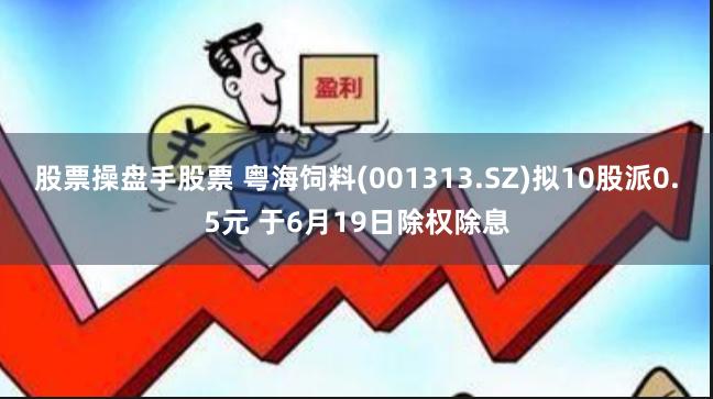 股票操盘手股票 粤海饲料(001313.SZ)拟10股派0.5元 于6月19日除权除息