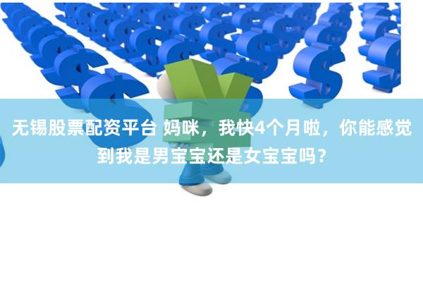 无锡股票配资平台 妈咪，我快4个月啦，你能感觉到我是男宝宝还是女宝宝吗？