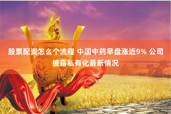 股票配资怎么个流程 中国中药早盘涨近9% 公司披露私有化最新情况