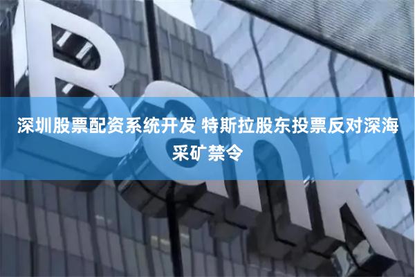 深圳股票配资系统开发 特斯拉股东投票反对深海采矿禁令