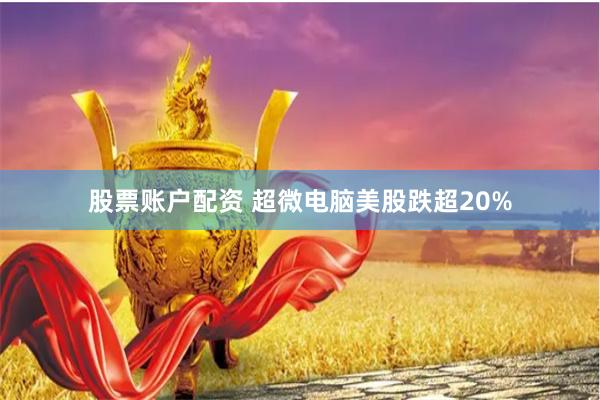 股票账户配资 超微电脑美股跌超20%