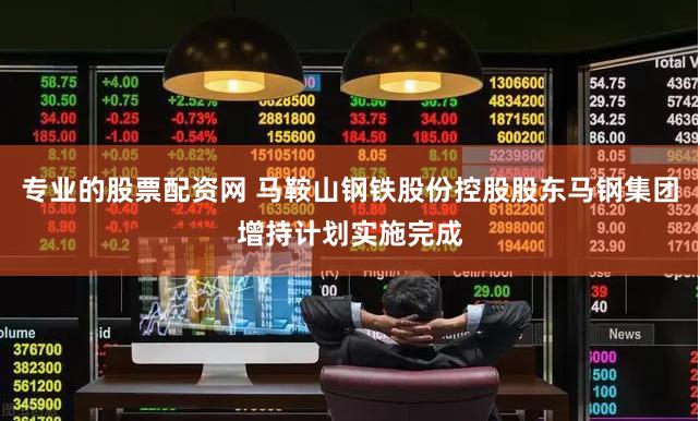 专业的股票配资网 马鞍山钢铁股份控股股东马钢集团增持计划实施完成