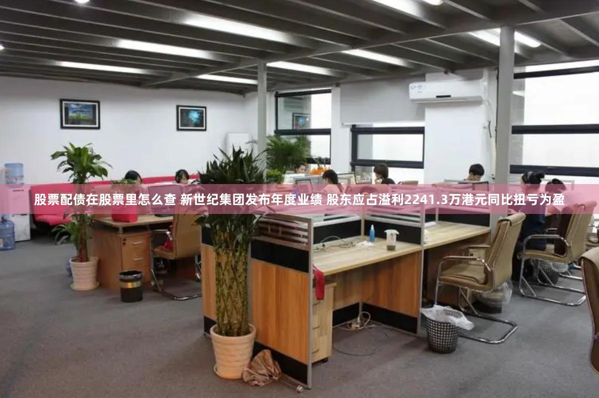 股票配债在股票里怎么查 新世纪集团发布年度业绩 股东应占溢利2241.3万港元同比扭亏为盈